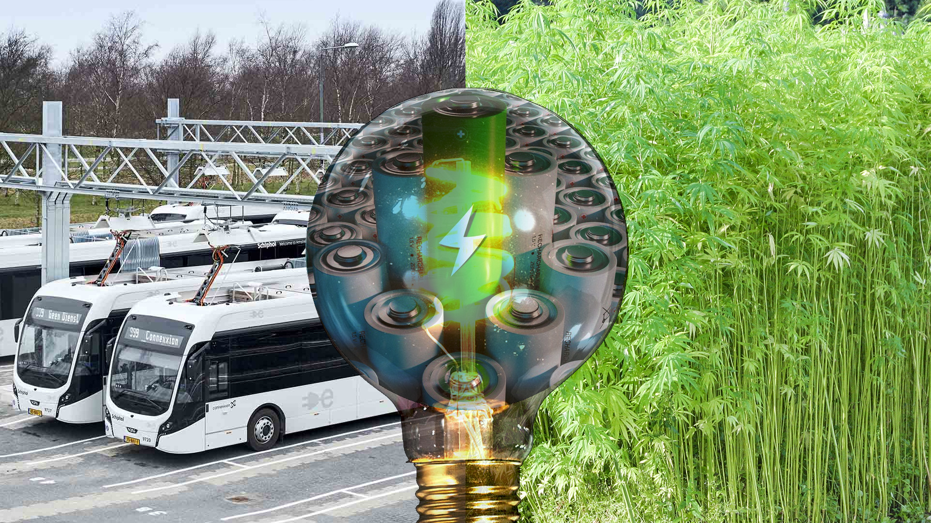 Hemp Supercapacitors and the Future of Carbon-Negative Energy Storage